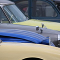 IMG_3375 _Large_.jpg